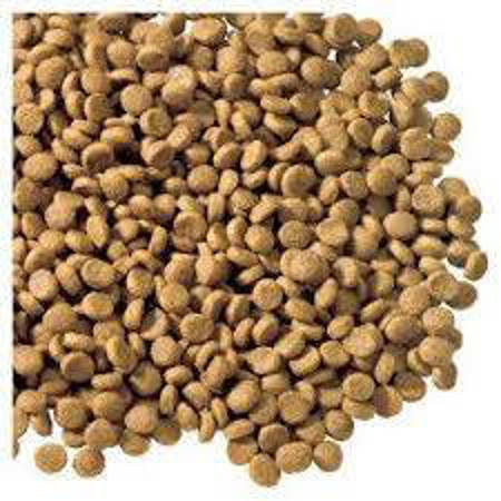 Picture for category Dry Cat Food