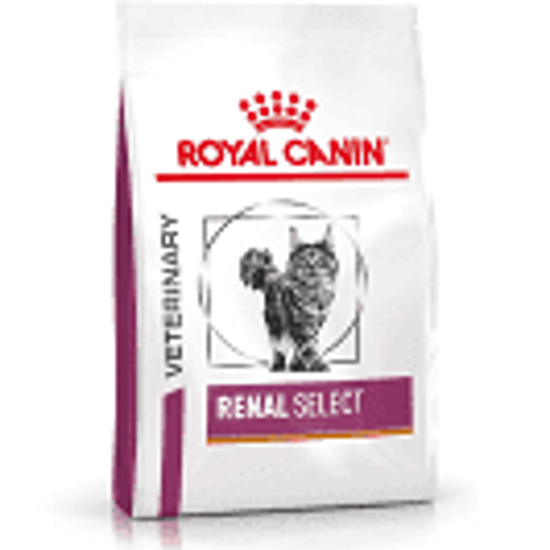 Picture of Royal Canin Vet Health Nutrition Feline Renal Select 2kg